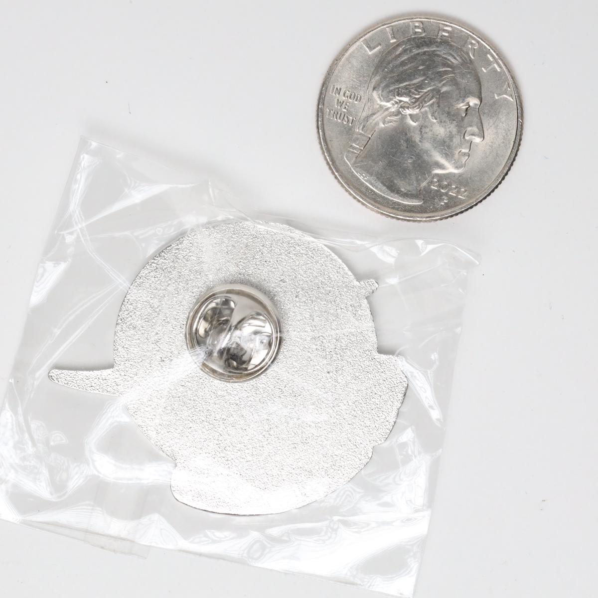 NASA Not Flat Logo Enamel Pin