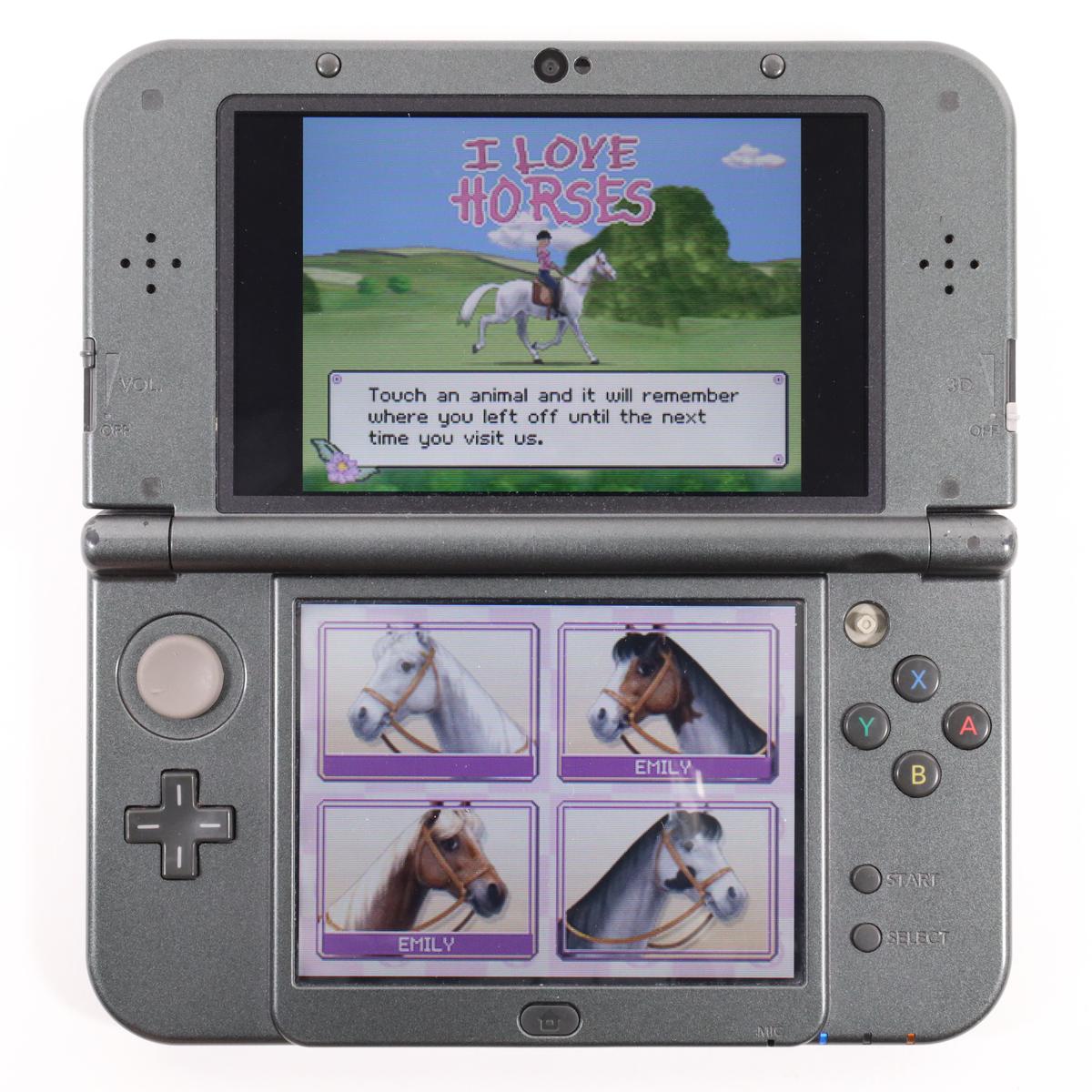 I Love Horses - Nintendo DS (Loose / Good)