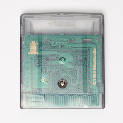 Rocky Mountain Trophy Hunter - Gameboy Color (Loose [Game Only] / Good)